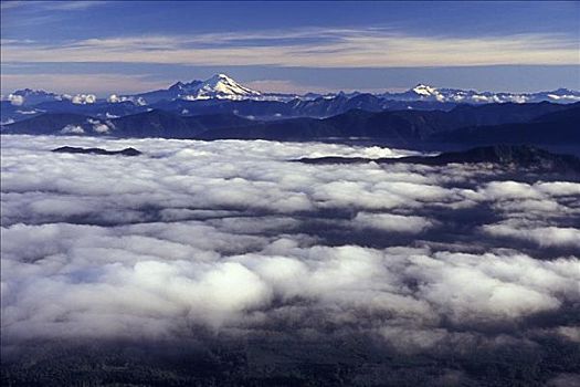 云,上方,山峦,贝克山,攀升,州立公园,华盛顿,美国