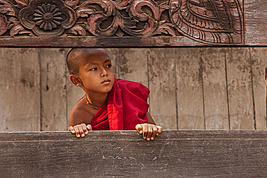 缅甸,曼德勒,新信徒,僧侣,头像,画廊