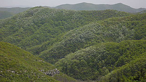 中国,河南,云台山,青龙峡