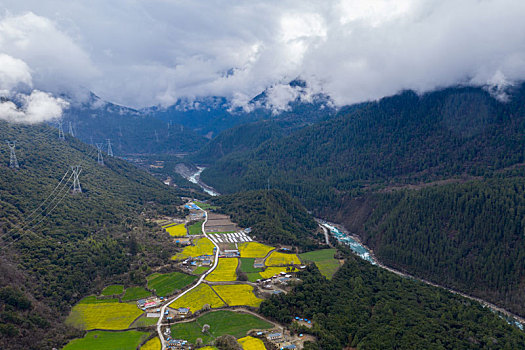 西藏波密帕隆藏布江