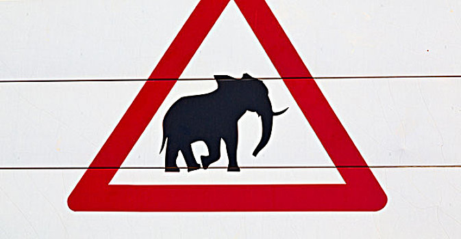 模糊,南非,特写,大象,标识,纹理,背景