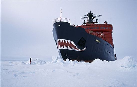 俄罗斯,北冰洋,北极,俄罗斯人,破冰船,游客