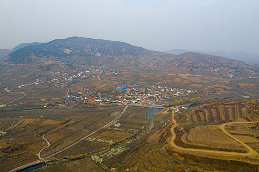 山东蒙阴乡村桃花