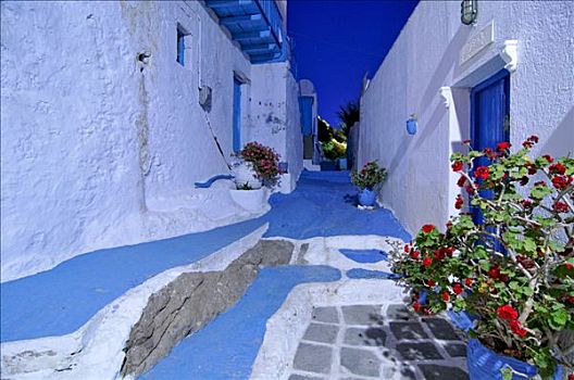 蓝色,白色,涂绘,小巷,布拉卡区,基克拉迪群岛,希腊,欧洲