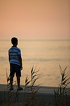 后视图,男孩,站立,海滩,日落
