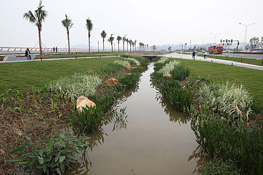 珠海,海滨公园,情侣大道,绿地,休闲,港珠澳大桥,城市,建筑