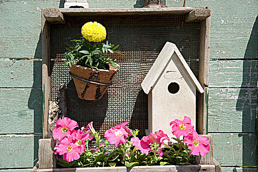 花,鸟舍,植物,盒子
