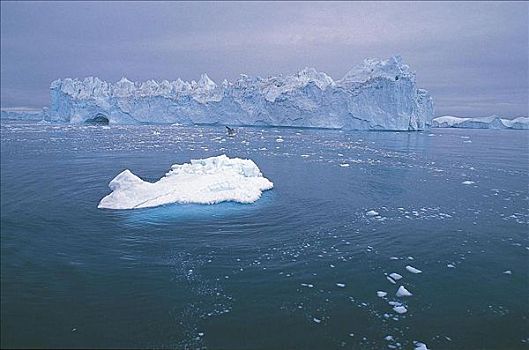 冰山,靠近,伊路利萨特,雪,寒冷,海洋,格陵兰,北极