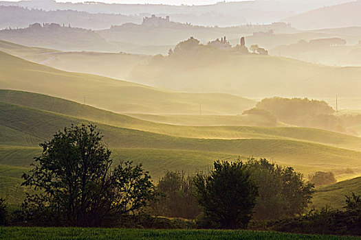 风景,早晨,薄雾,托斯卡纳,意大利,欧洲