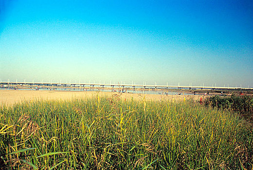 河北省石家庄滹沱河湿地