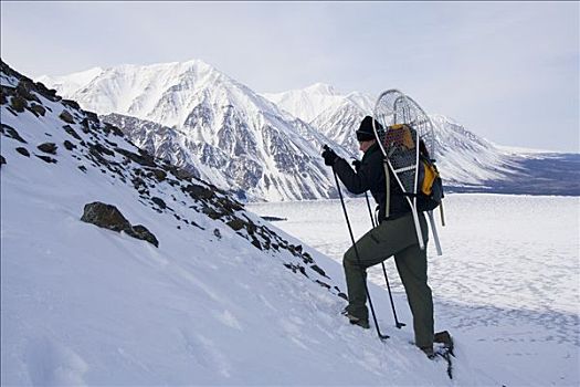 远足,向上,山,雪鞋,克卢恩国家公园,湖,育空地区,加拿大,北美