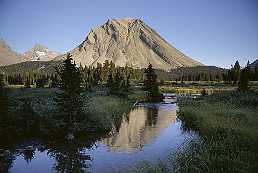 山,红色,鹿,河,班芙国家公园,艾伯塔省,加拿大