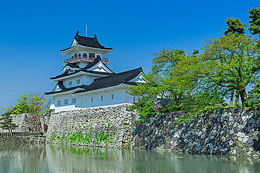 富山,城堡,春天