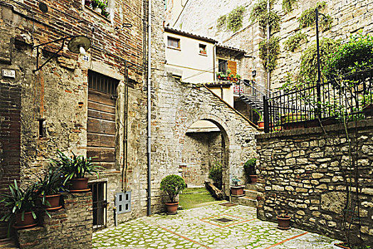 石头,住宅,建筑,装饰,植物,翁布里亚,意大利