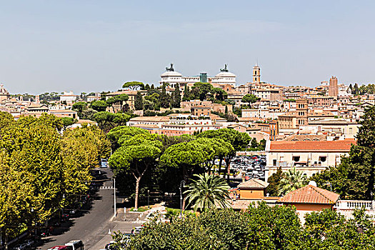 俯视图,罗马,纪念建筑,意大利