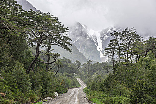 碎石路,原生态,自然,省,智利,南美