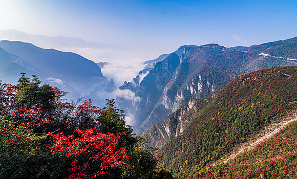 重庆巫山三峡云海红叶