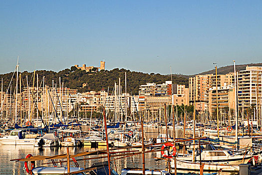 码头,帕尔马,马略卡岛,巴利阿里群岛,地中海,西班牙,欧洲