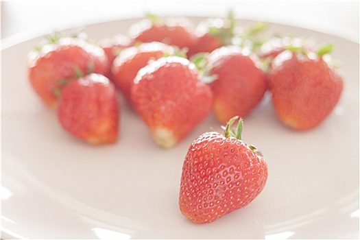 新鲜,草莓,白色背景,盘子