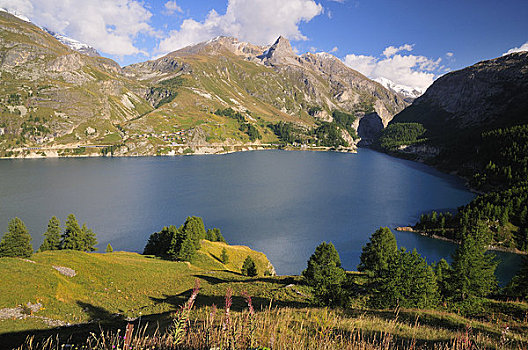 隆河阿尔卑斯山省,法国