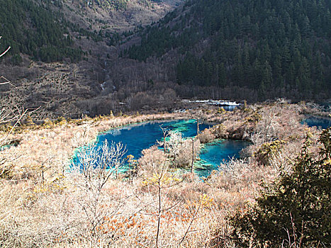 树正群海