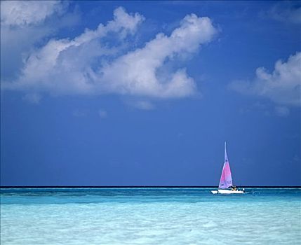 双体船,海洋,马尔代夫,印度洋