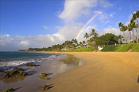 夏威夷,毛伊岛,漂亮,沿岸,景色,温暖,下午,亮光,彩虹,上方,棕榈树