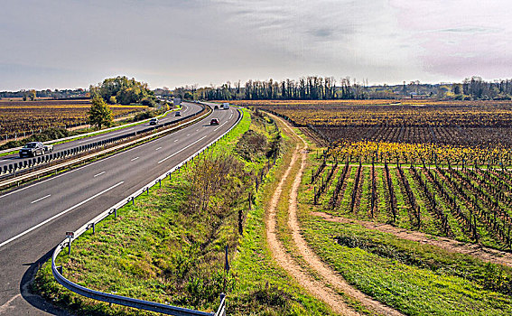 西南,法国,葡萄酒,葡萄园,高速公路,中间