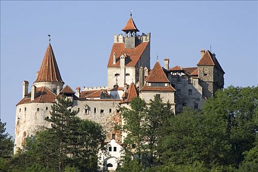 麸,城堡,喀尔巴阡山脉地区,罗马尼亚