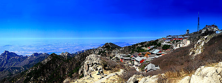 山东泰山