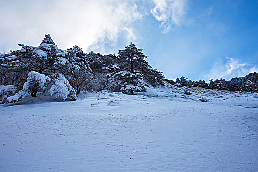 黄山雪景