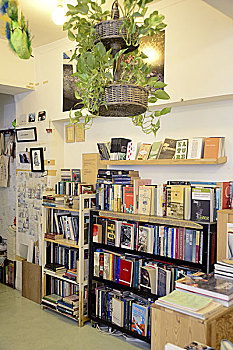 艺鹄书店,书架上的书,香港铜锣湾