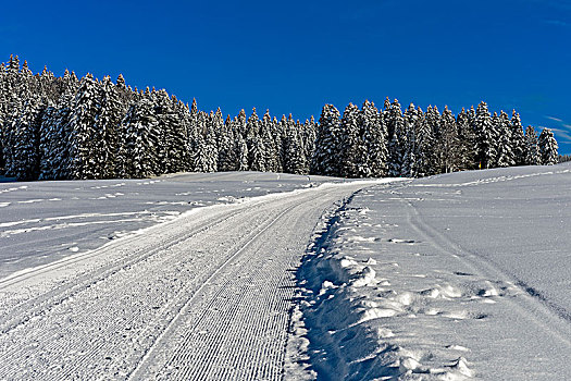 滑雪道,越野滑雪,瑞士,朱拉,沃州,欧洲