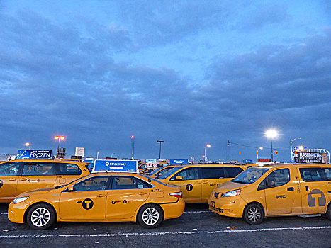 纽约,出租车,豪华轿车,等待,中心,拿着,转,接送,航空公司,乘客