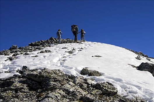 上升,顶峰,瓦莱,瑞士