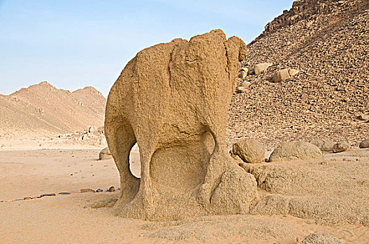 石头,排列,荒芜,靠近,阿尔及利亚,非洲