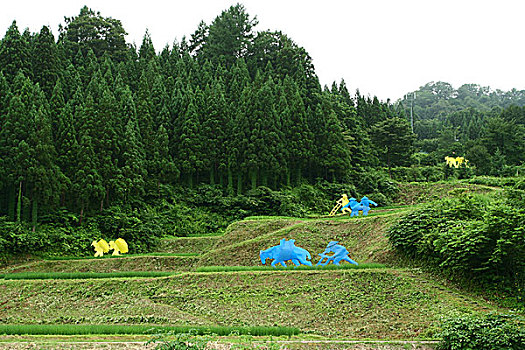 艺术,区域,地球