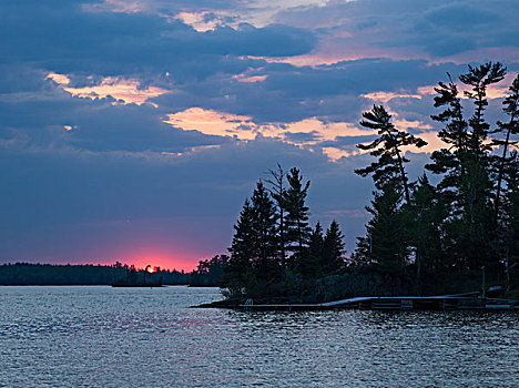 风景,树,湖岸,日落,湖,木头,安大略省,加拿大