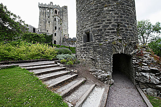 特写,布拉尼城堡,城堡,科克郡,爱尔兰
