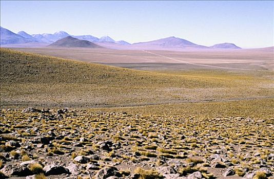 阿塔卡马沙漠,智利