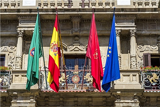市政厅,潘普洛纳,纳瓦拉,西班牙