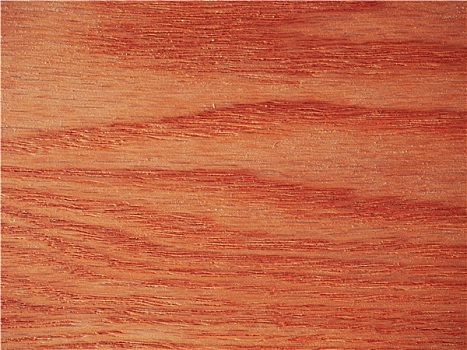 红栎,木头,背景