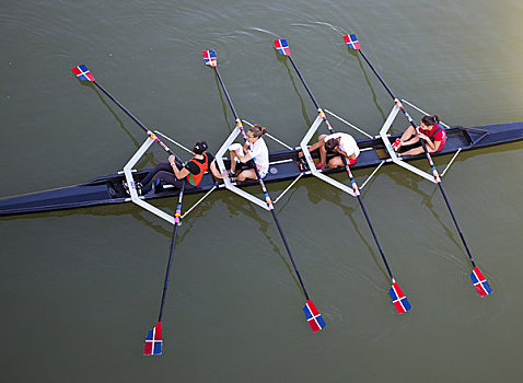 俯拍,桨手,双桨式划水,船,河,塞维利亚,塞维尔省,安达卢西亚,西班牙