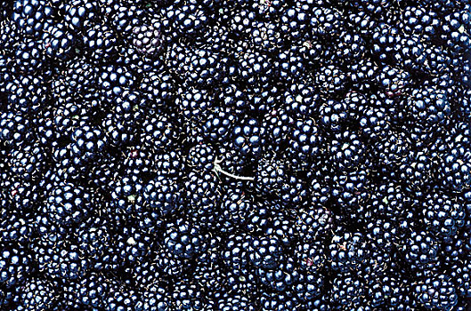 黑莓,全画幅