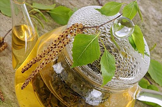 桦树,叶子,茶,玻璃茶壶
