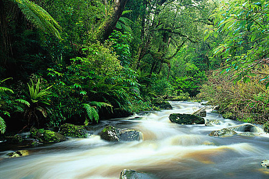 河流,南岛,新西兰