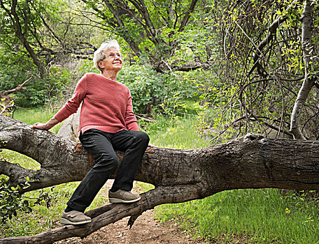 老年,女人,坐在树上,红杉国家公园,加利福尼亚,美国