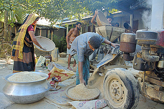 农民,稻田,院落,孟加拉,六月,2007年