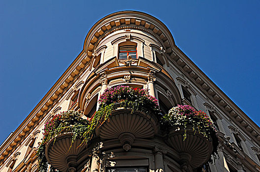 凸窗,建筑,19世纪,花,露台,维也纳,奥地利,欧洲