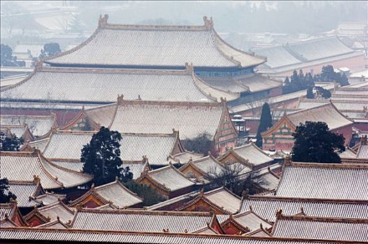 中国,北京,积雪,故宫,世界遗产